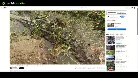 Join the stream