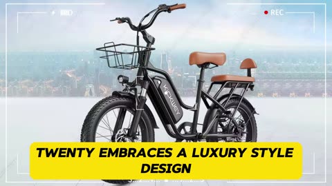 KickWey LD20 Electric Bike 750W Powerful Motor 48V 20AH Battery Fat fire Electric Bike