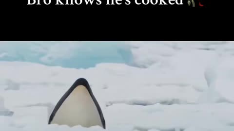 Knowing You're Cooked