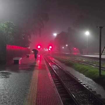 নির্দিষ্ট সময়ের আগে কিছুই হয় না, অতএব অপেক্ষার কোন বিকল্প নেই.। #foryoupage #viralvideo