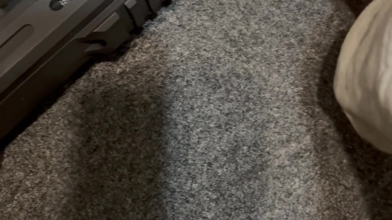 Sunday touch around 125: SPH touches a G-Force AR12! #hickok45 #funny #2A #tinyhands