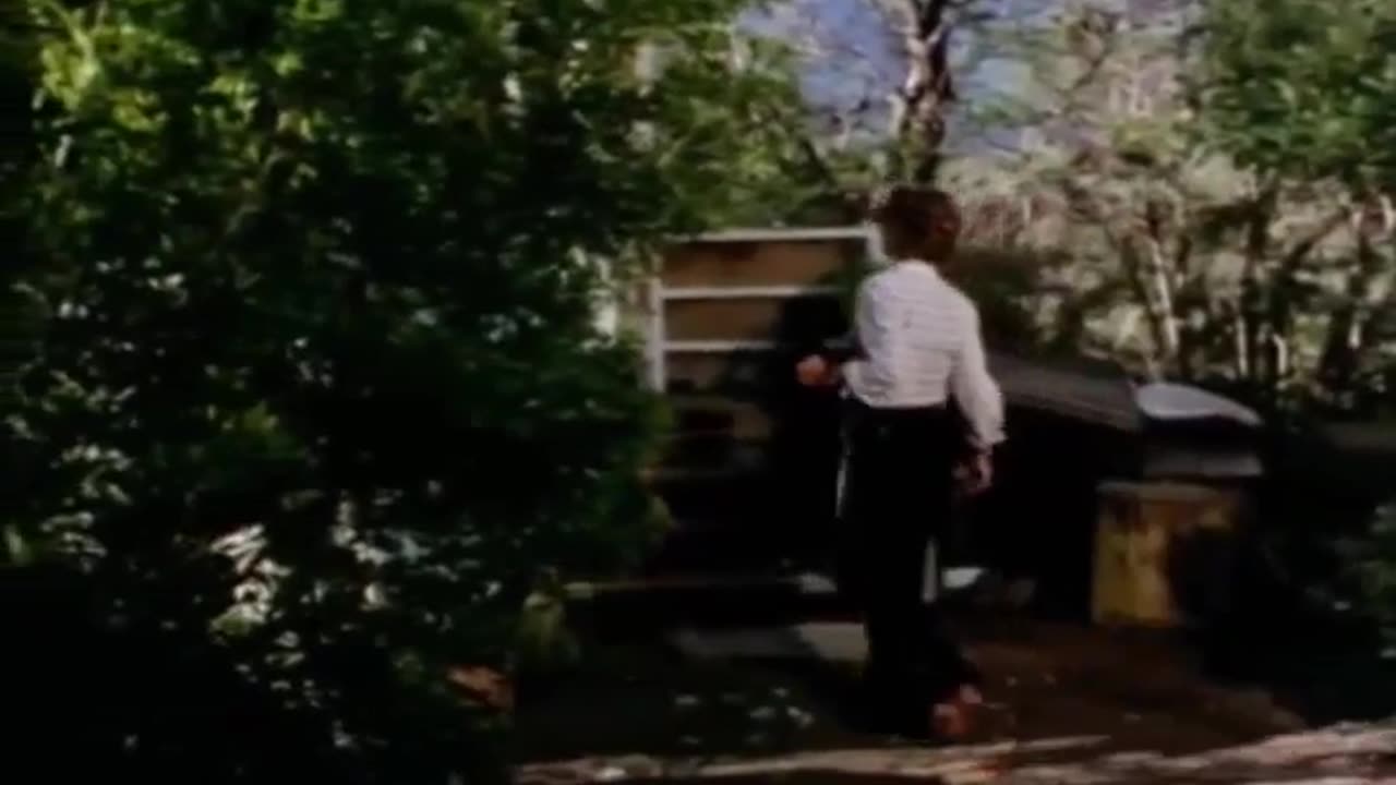 Hawaii Five-O Compilation 1
