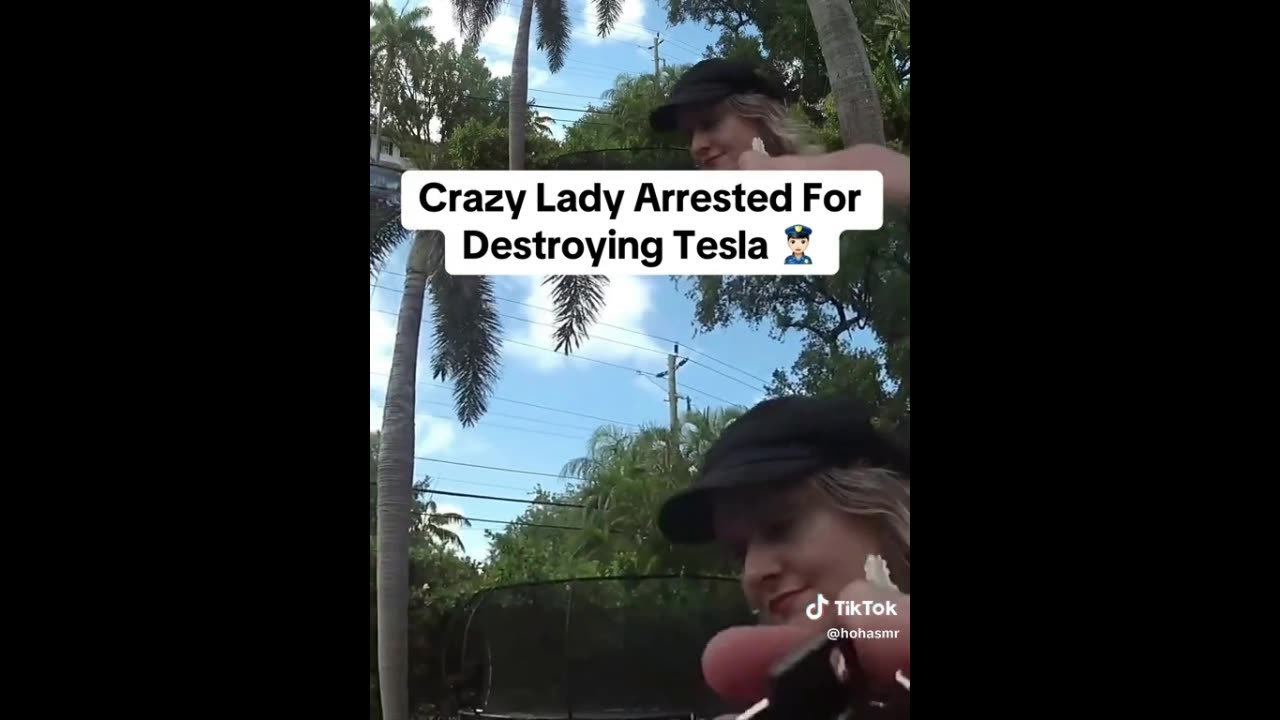 Crazy Lady Damages Tesla