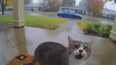 Nobody Expected This… 😱 #viral