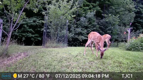 Buck Boundary