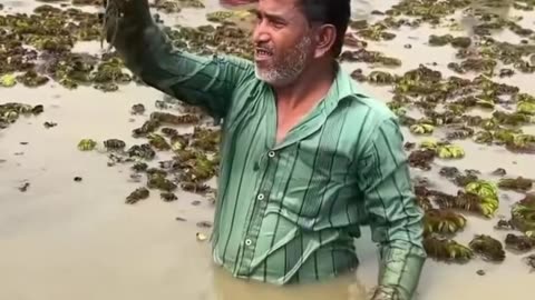 Catching Fish With a Bamboo Pipe?! Only in the Village! 😲🐟