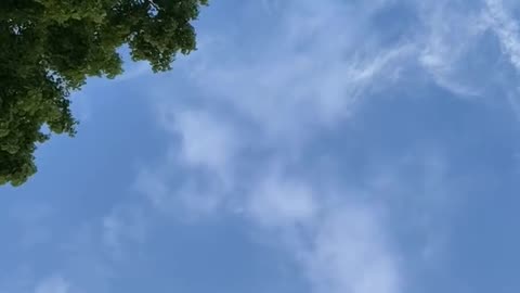 Daily Horoscope | Gemini 🌟