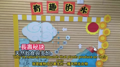 長壽秘訣 天然飲食與多酚