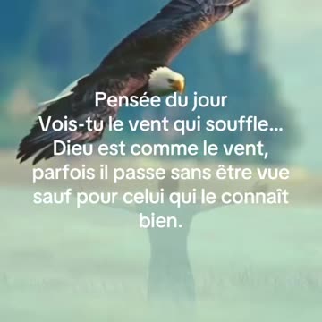 Pensée du jour