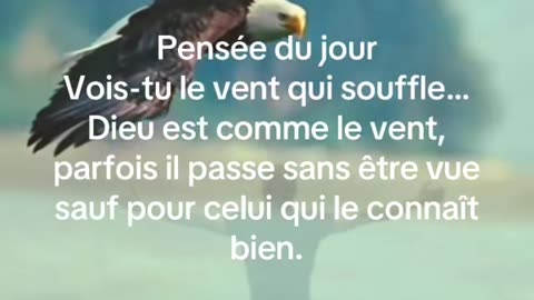 Pensée du jour