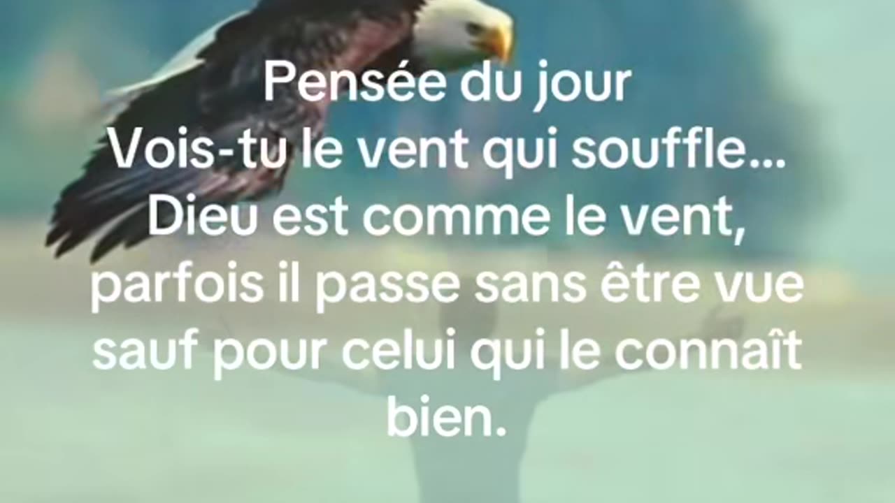 Pensée du jour