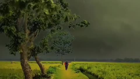When Nature Misses You Too