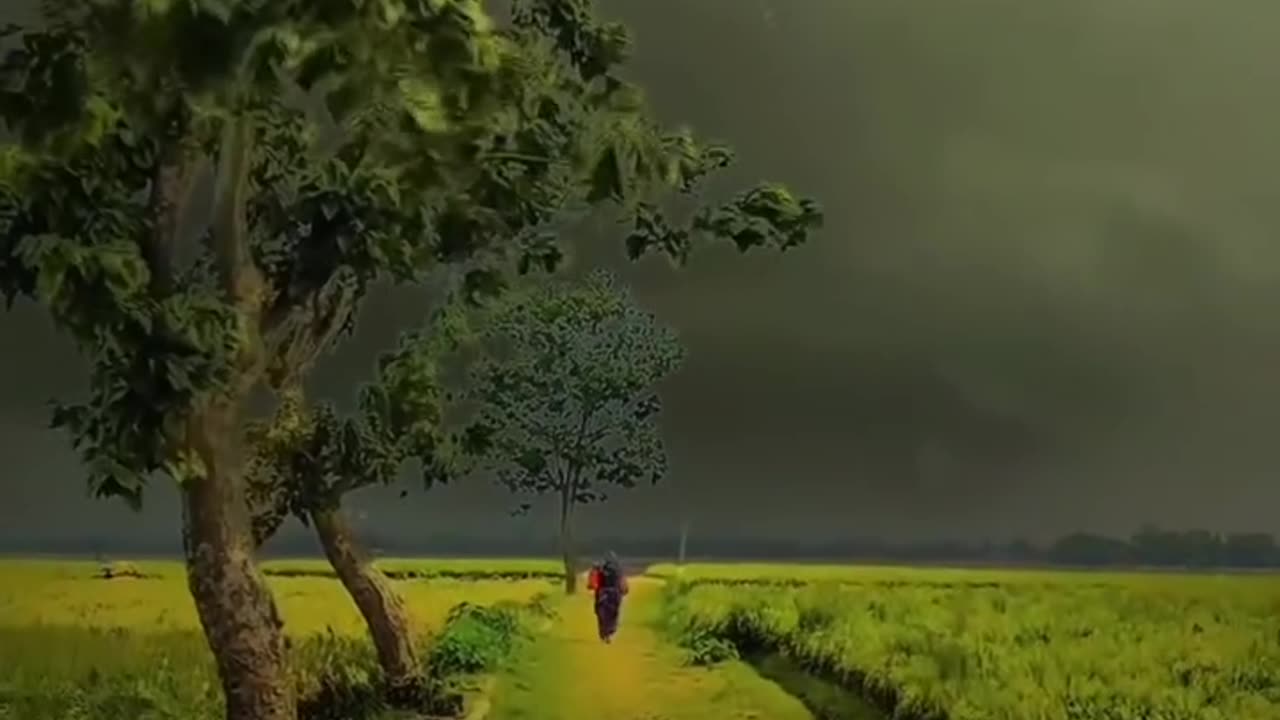 When Nature Misses You Too