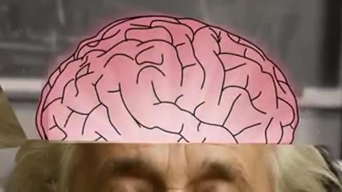 How Einstein’s Brain Was Stolen.. 😳🧠