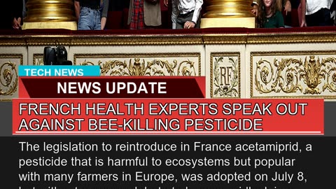 French Health Experts Speak Out Against Beekillin