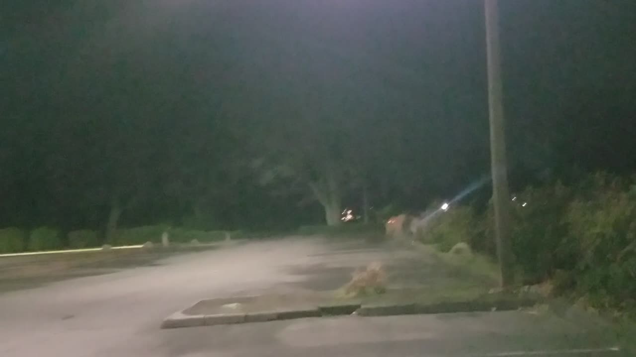 March Madness of Puppy Mill & Predvidians Needing Crypto Currency 😂