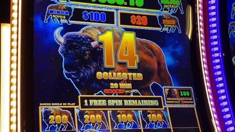 BIG BUFFALO BRING BIG BUFFALO!