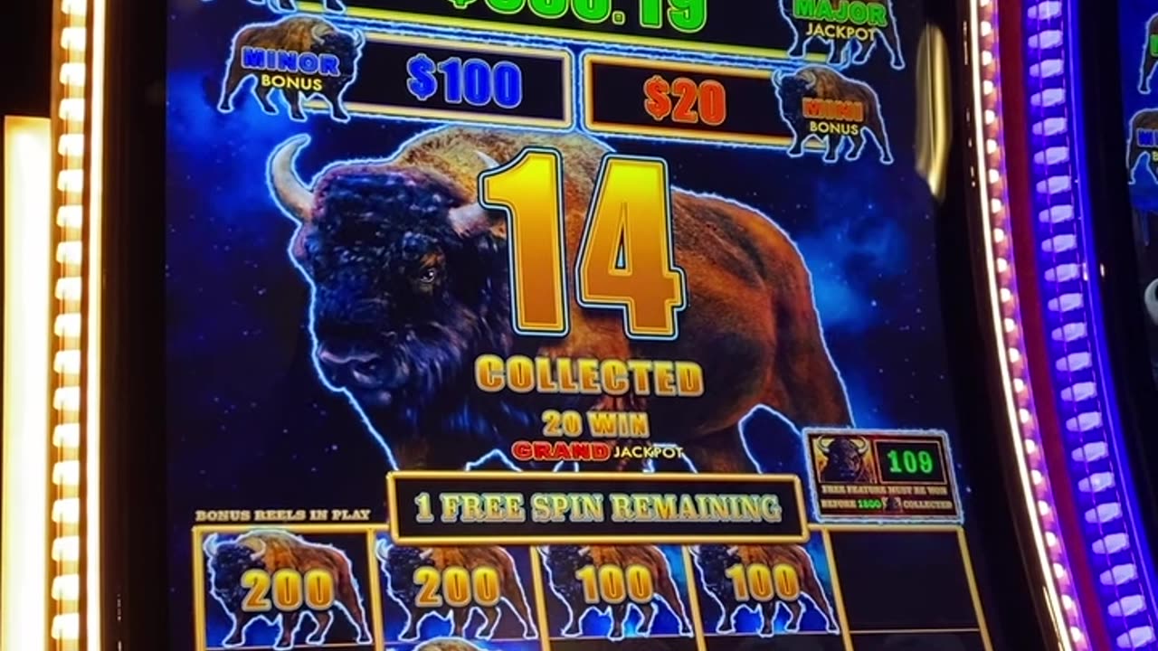 BIG BUFFALO BRING BIG BUFFALO!