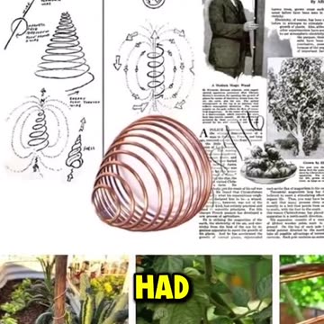 ELECTROCULTURE Gardening Lost Technique.