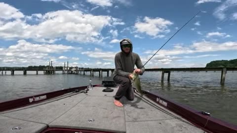 Summer Fishing on the Potomac River: Grass Beds & Dock Adventures