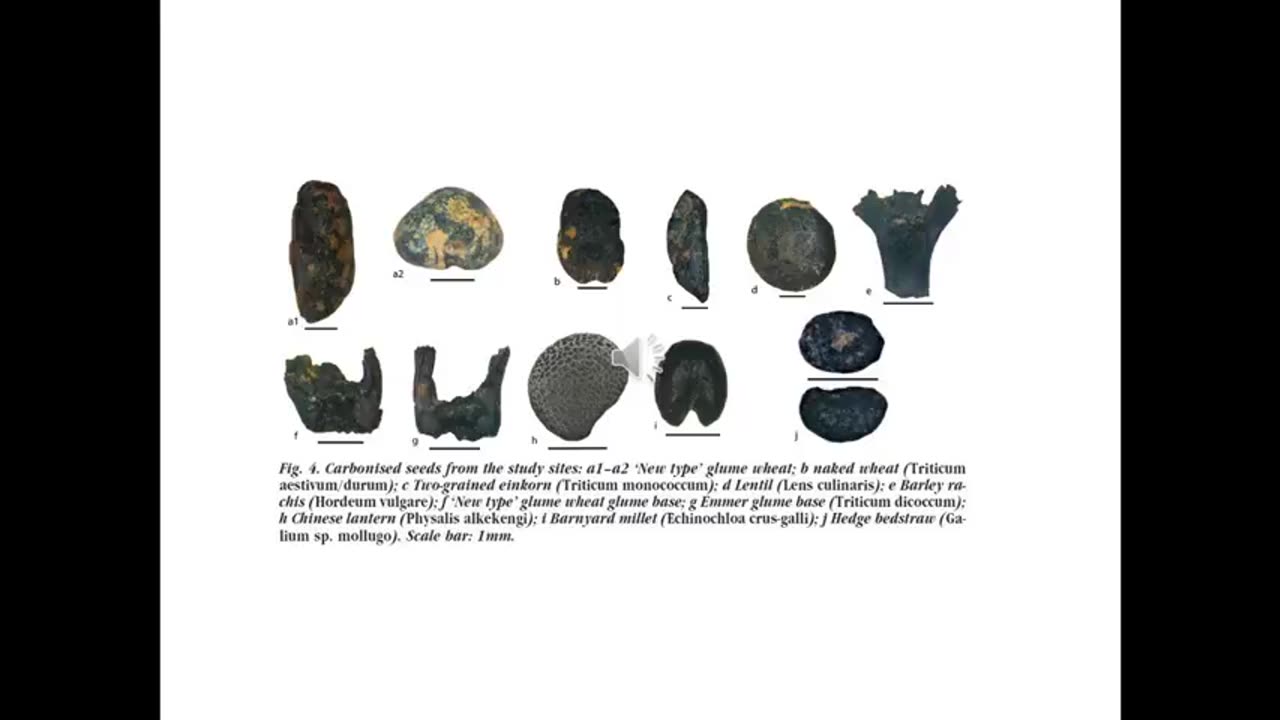 Archaeobotany S2 Ancient Croatia