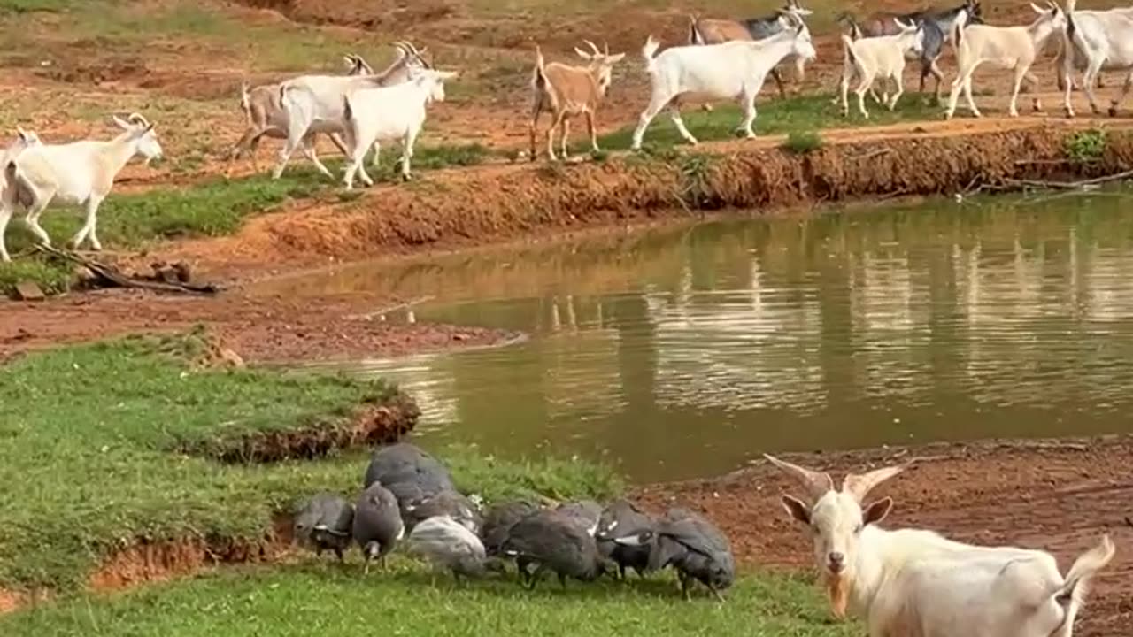 When a guy wants a drink, but the girls have other plans