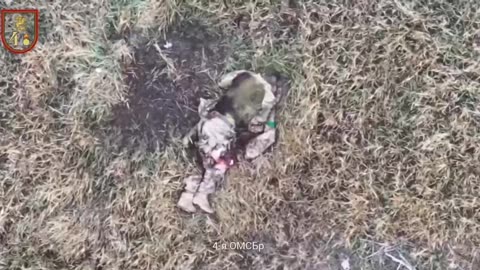 Ukraine war combat footage 10/30/25