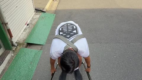 Passenger Princess in Japan