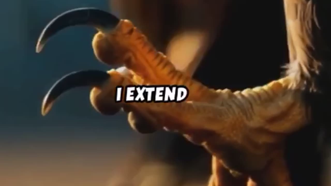 The Art of Hunting