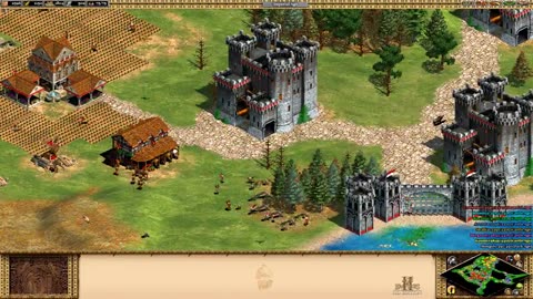 PC Longplay - Age of Empires II HD Edition - WW - 07-50