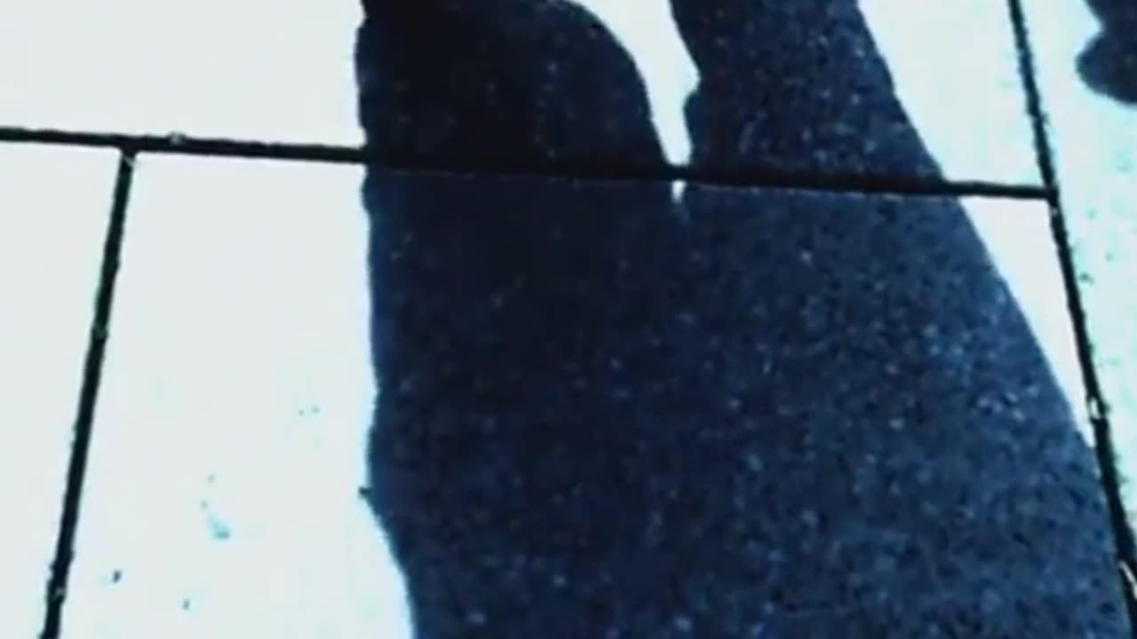 Can a shadow be lost?