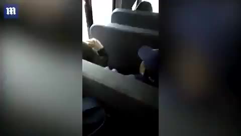 A little white disabled girl is abused by nigglets on school bus