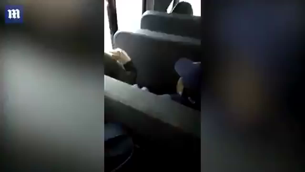 A little white disabled girl is abused by nigglets on school bus