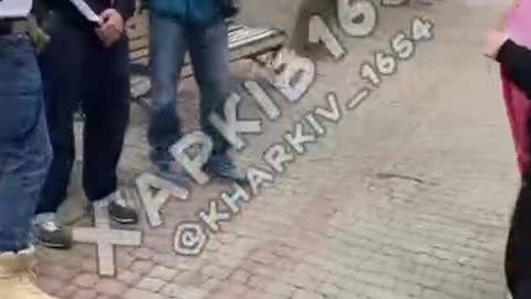 In Kharkov, young people staged a photo shoot with a Nazi flag