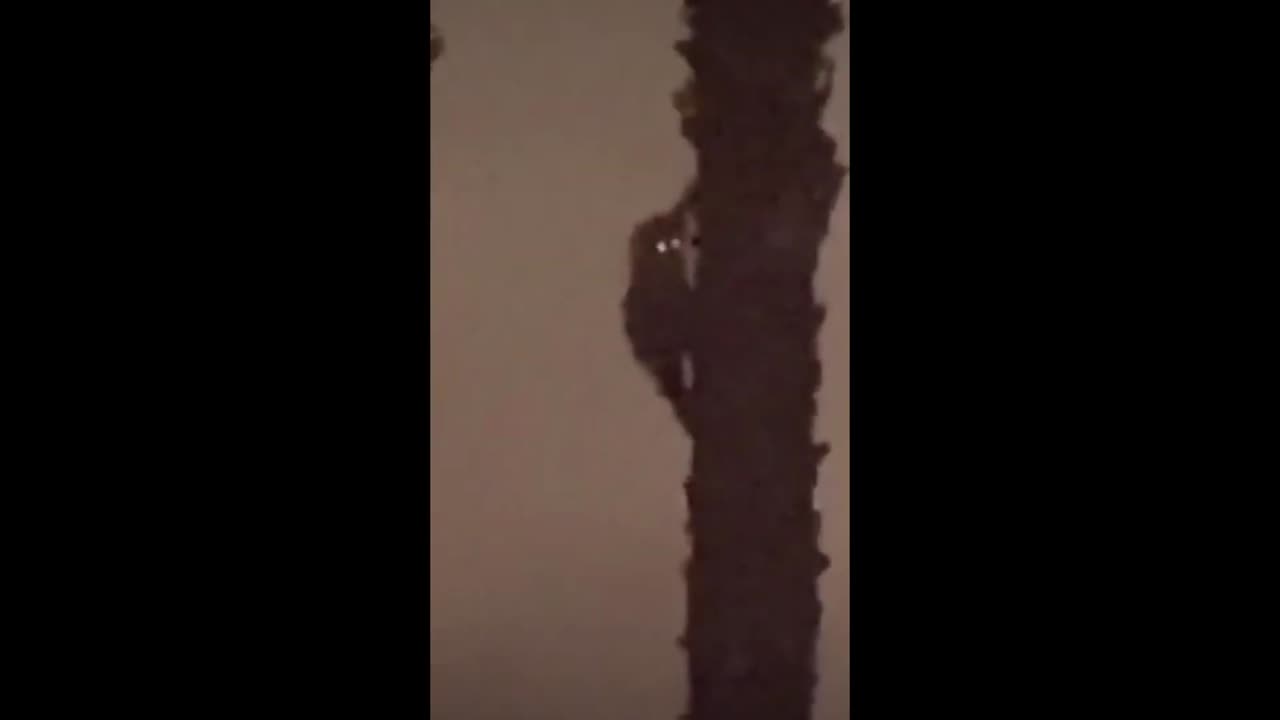 CRYPTID CAUGHT ON VIDEO? WHAT THE HECK IS IN THIS SCARY VIDEO!