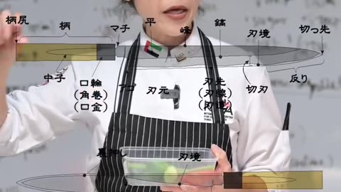 Learn to Cook Japanese Cuisine at ICCA Dubai – Sushi Master Class & More