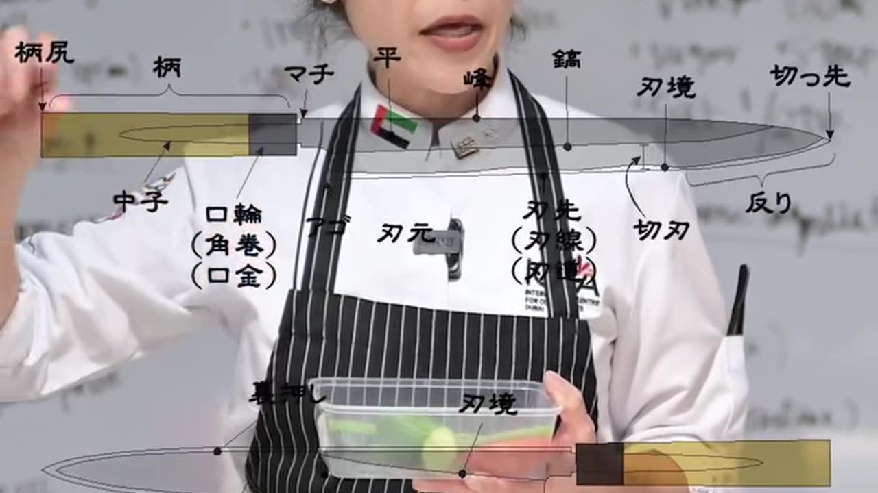 Learn to Cook Japanese Cuisine at ICCA Dubai – Sushi Master Class & More