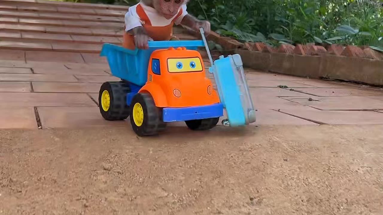 Funny video 🤣🤣