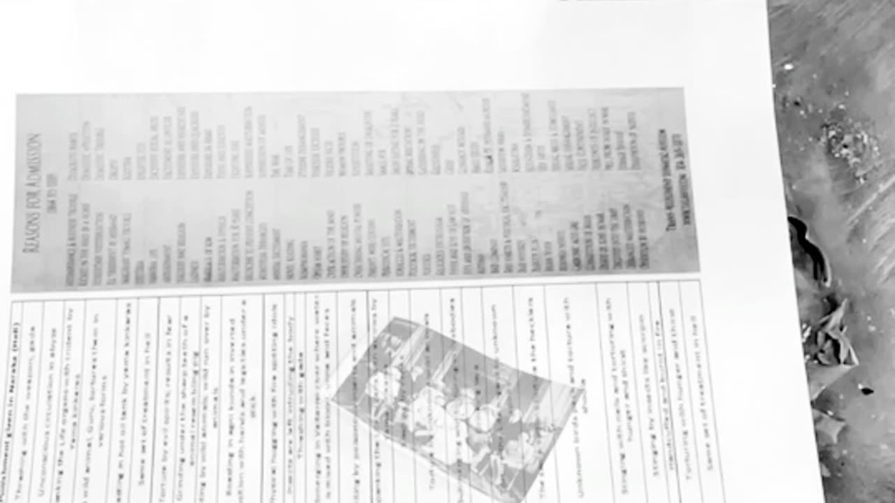 Tim Rifat TikTok Videos