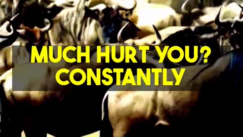 Is Altruism Damaging Your Self Esteem Rand Said Yes