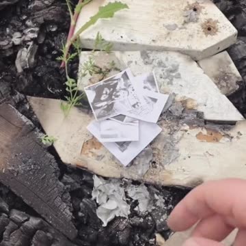 Tim Rifat TikTok Videos