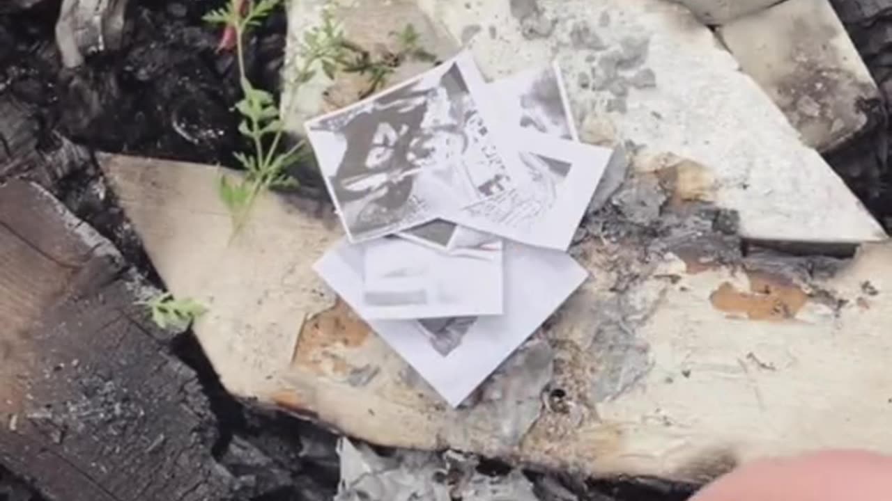 Tim Rifat TikTok Videos