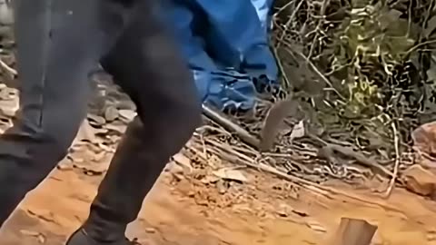 Funny