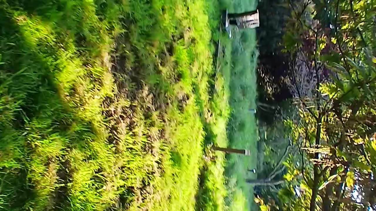 I think this is the dog eaters out trampling shitting pissing on the dead