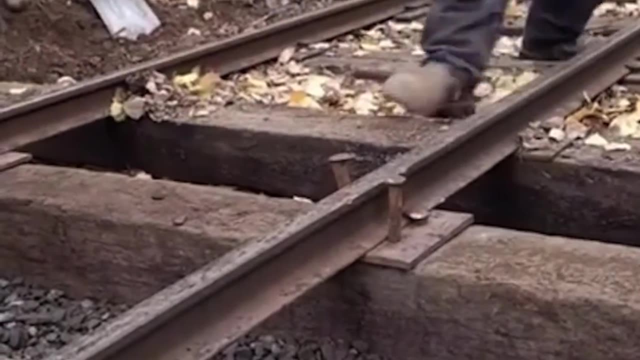 funnyvideosdaily