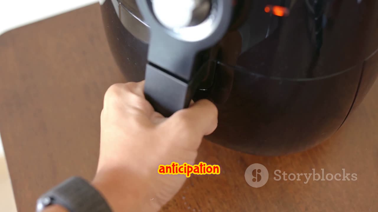 If Air Fryer's were Sold, Literally!