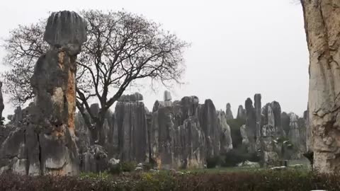 Wild China - Fantastic Creatures of Yunnan Free Documentary Nature