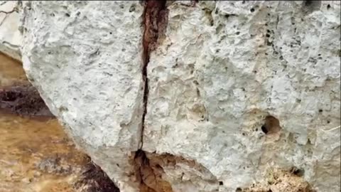 These were found while they were looking for bodies!