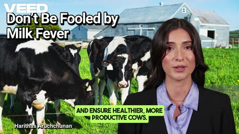 Don't be Fooled by Milk Fever:The Truth Behind the Name