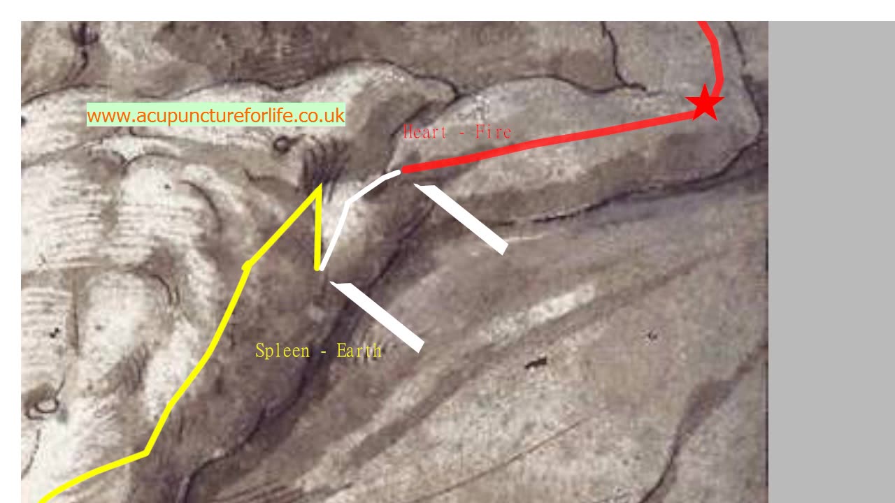 The Spleen Heart Block (Entry-Exit)
